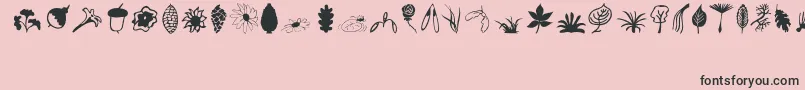 Police Plants – polices noires sur fond rose
