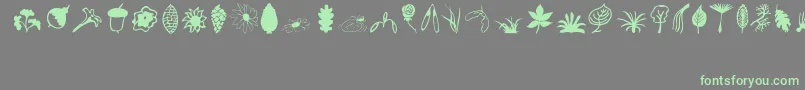 Plants Font – Green Fonts on Gray Background