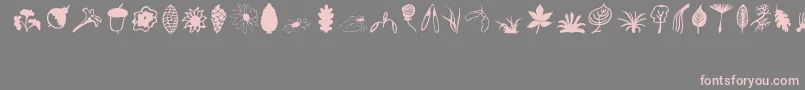 フォントPlants – 灰色の背景にピンクのフォント