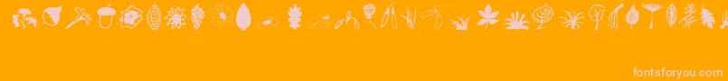 Plants-Schriftart – Rosa Schriften auf orangefarbenem Hintergrund