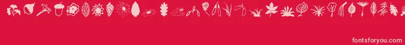 Fonte Plants – fontes rosa em um fundo vermelho