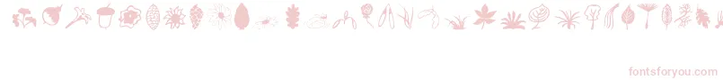 Plants Font – Pink Fonts