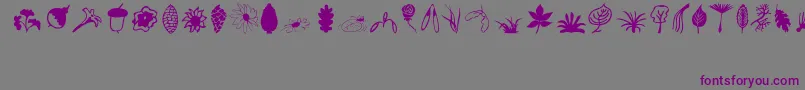 Plants Font – Purple Fonts on Gray Background
