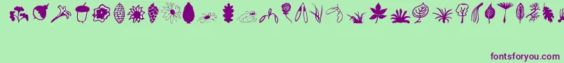 Police Plants – polices violettes sur fond vert