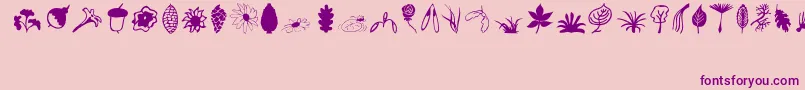 Plants Font – Purple Fonts on Pink Background