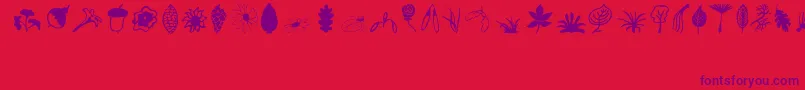 Plants-Schriftart – Violette Schriften auf rotem Hintergrund
