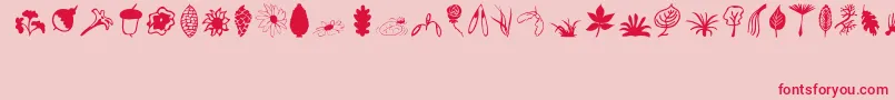 Plants-Schriftart – Rote Schriften auf rosa Hintergrund