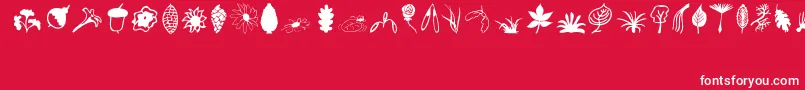 Plants Font – White Fonts on Red Background