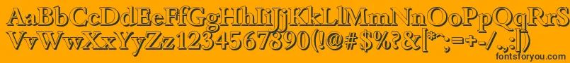 BambergshadowMediumRegular Font – Black Fonts on Orange Background