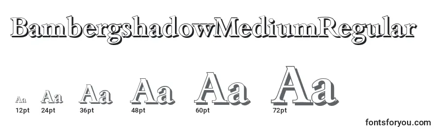 Размеры шрифта BambergshadowMediumRegular
