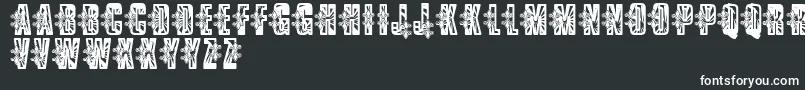 Шрифт VtksLowrider – белые шрифты на чёрном фоне