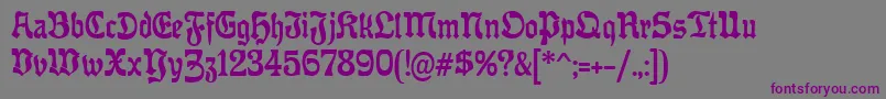 OffenbacherReformCat Font – Purple Fonts on Gray Background