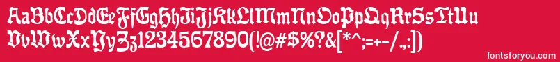 OffenbacherReformCat Font – White Fonts on Red Background