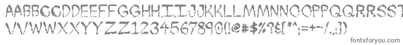 Skuntch Font – Gray Fonts on White Background