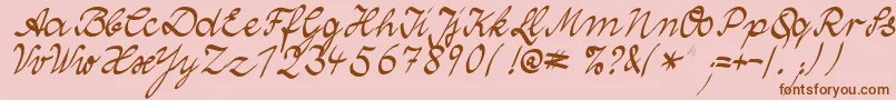 WolgastTwo Font – Brown Fonts on Pink Background