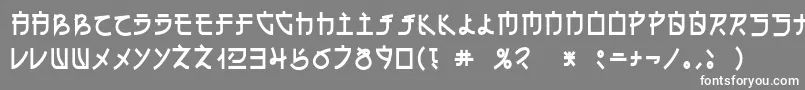 フォントDsehc – 灰色の背景に白い文字