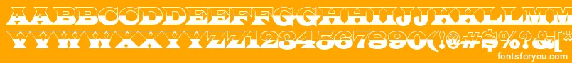 LatinotitulbwRegular Font – White Fonts on Orange Background