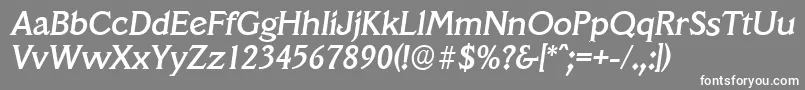 VeracruzserialMediumItalic-Schriftart – Weiße Schriften auf grauem Hintergrund