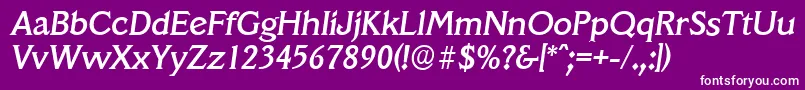 VeracruzserialMediumItalic Font – White Fonts on Purple Background