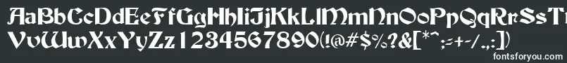 BuckinghamRegular Font – White Fonts