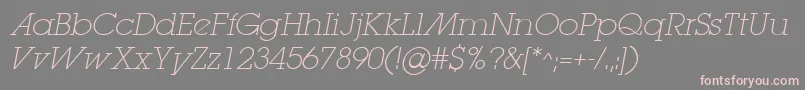 LugaextraadExtralightOblique Font – Pink Fonts on Gray Background