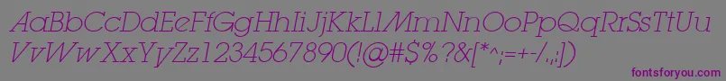 LugaextraadExtralightOblique Font – Purple Fonts on Gray Background