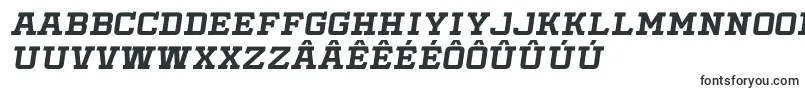 SlabbyPricesItalic Font – Frisian Fonts