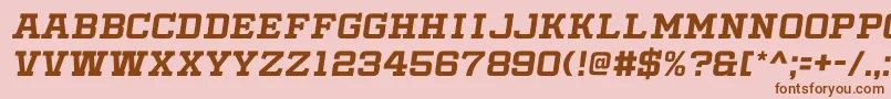 SlabbyPricesItalic Font – Brown Fonts on Pink Background