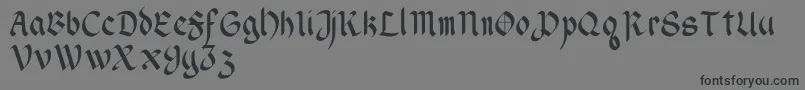 WendellV1 Font – Black Fonts on Gray Background