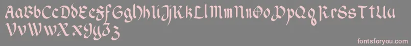 WendellV1 Font – Pink Fonts on Gray Background