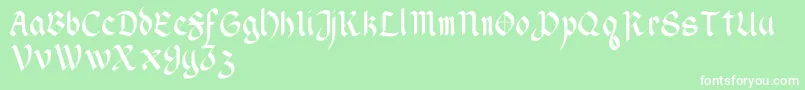 WendellV1 Font – White Fonts on Green Background