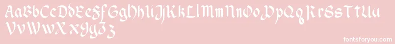 WendellV1-Schriftart – Weiße Schriften auf rosa Hintergrund