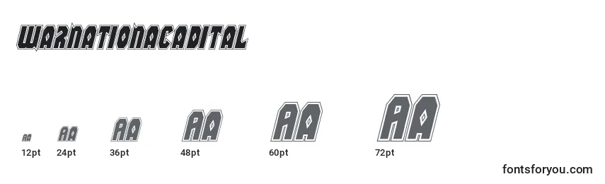 Warnationacadital Font Sizes