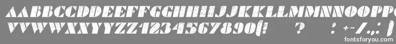 CommandersGrungedItalic Font – White Fonts on Gray Background