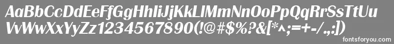 フォントGrenobleSfBoldItalic – 灰色の背景に白い文字