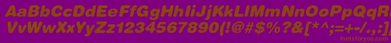 HelveticaRoundedLtBlackOblique Font – Brown Fonts on Purple Background