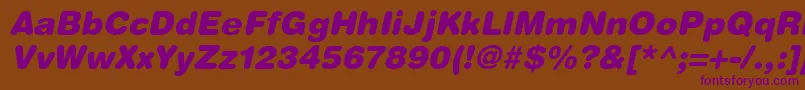 HelveticaRoundedLtBlackOblique Font – Purple Fonts on Brown Background