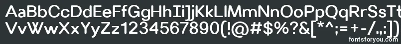 フォントVillerayroundedMedium – 黒い背景に白い文字