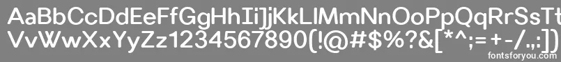 フォントVillerayroundedMedium – 灰色の背景に白い文字