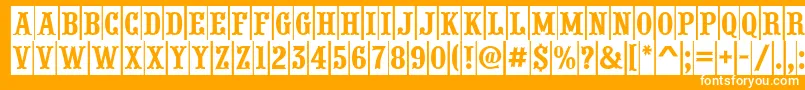 PresentumcmnrRegular Font – White Fonts on Orange Background