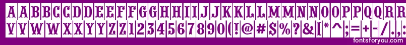 PresentumcmnrRegular Font – White Fonts on Purple Background