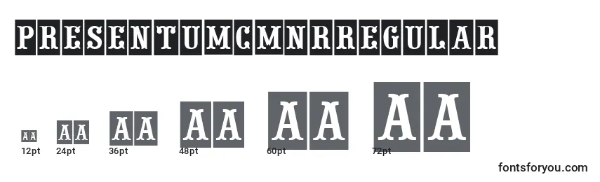 Размеры шрифта PresentumcmnrRegular