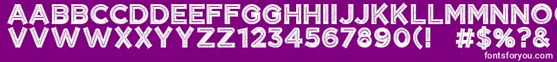 CftangerinegrungeRegular Font – White Fonts on Purple Background