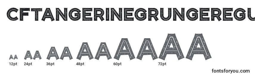 Размеры шрифта CftangerinegrungeRegular
