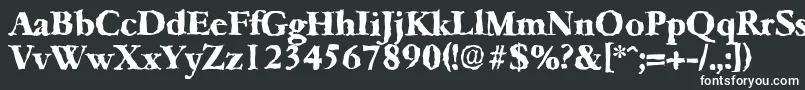 フォントGarfeldrandomXbold – 黒い背景に白い文字