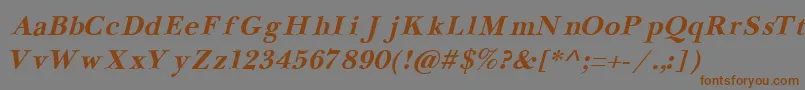 NewbaskervilleCyrillicBoldItalic Font – Brown Fonts on Gray Background