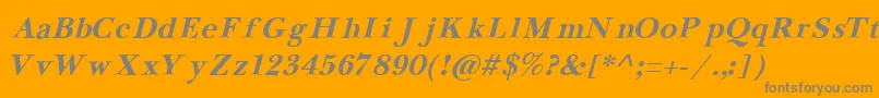 NewbaskervilleCyrillicBoldItalic Font – Gray Fonts on Orange Background