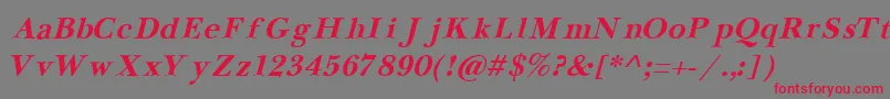 NewbaskervilleCyrillicBoldItalic Font – Red Fonts on Gray Background