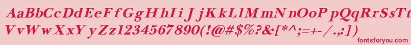 NewbaskervilleCyrillicBoldItalic Font – Red Fonts on Pink Background