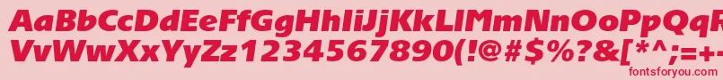 TornadoultrablackcItalic Font – Red Fonts on Pink Background